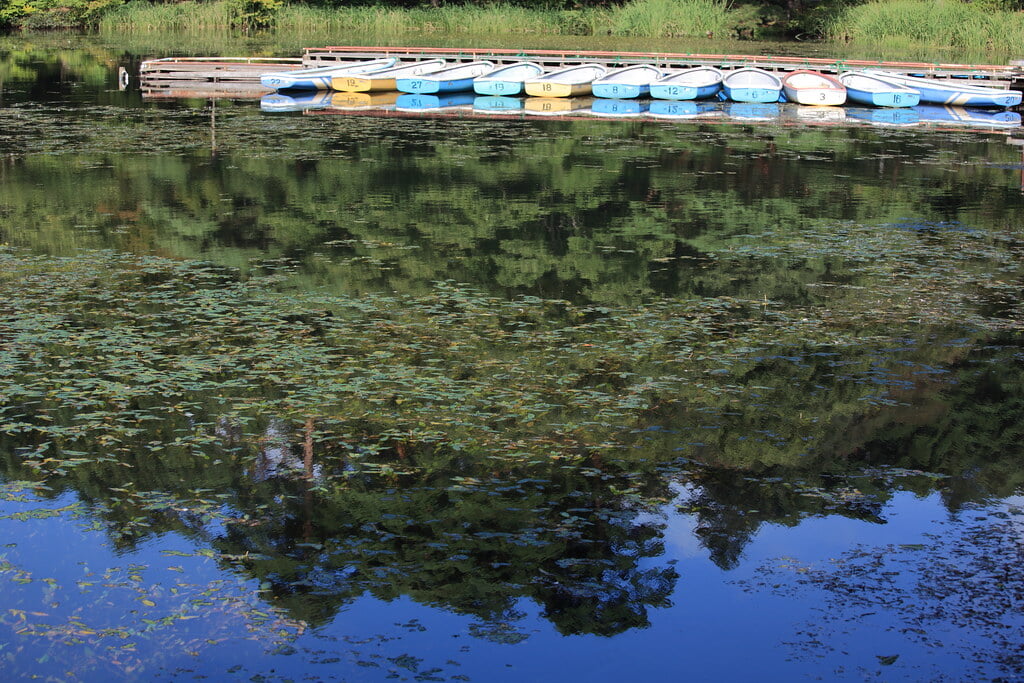 南湖公園の写真16