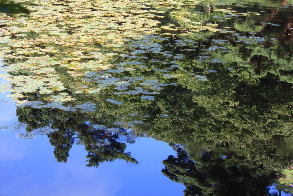 南湖公園の写真17