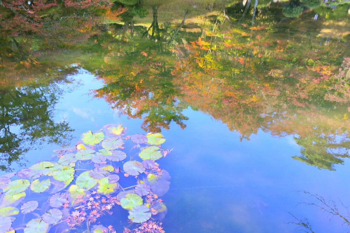 県立霞ヶ城公園の写真3