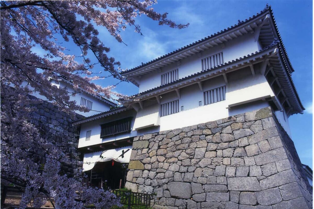 県立霞ヶ城公園の写真1