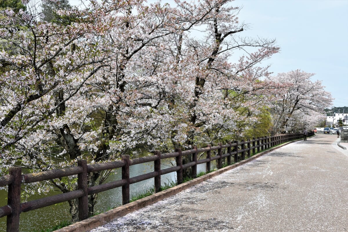 棚倉城跡(亀ヶ城公園)の写真1