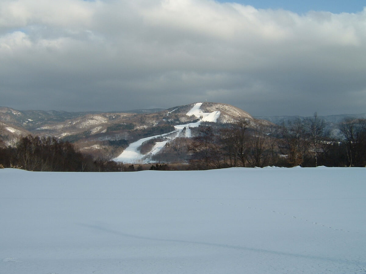 日高国際スキー場の写真1