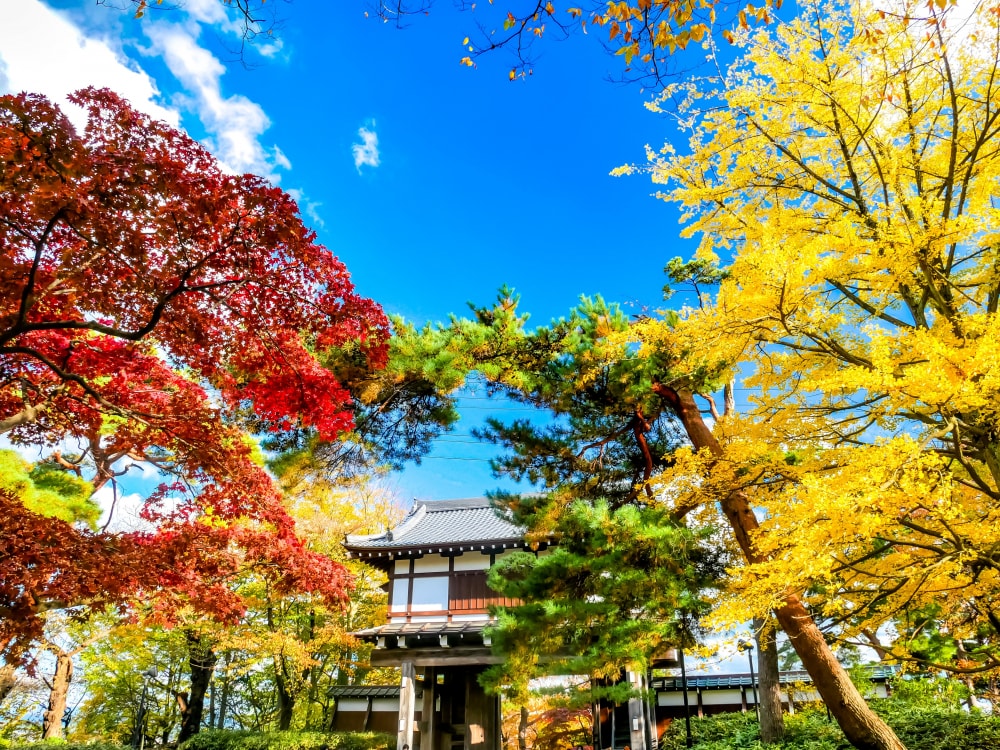 千秋公園の写真5