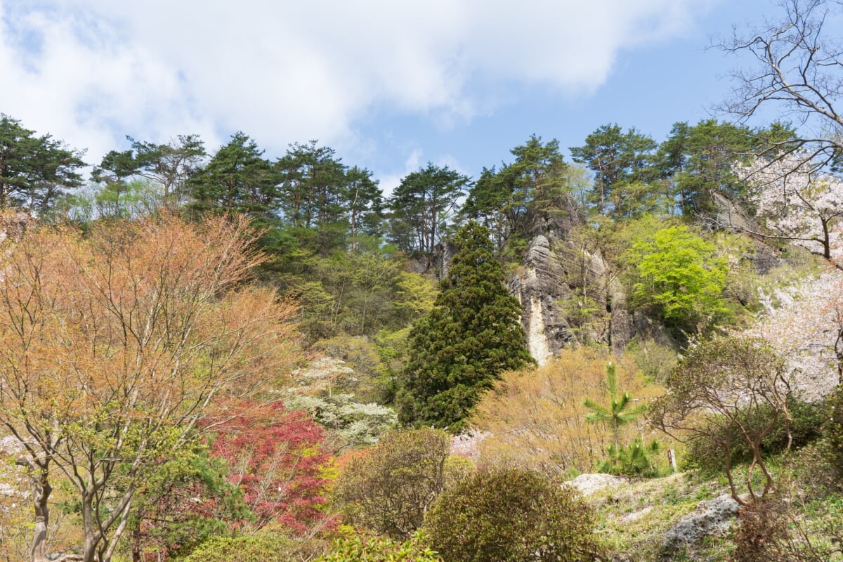 きみまち阪県立自然公園の写真3