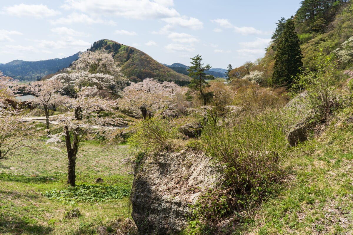 きみまち阪県立自然公園の写真4