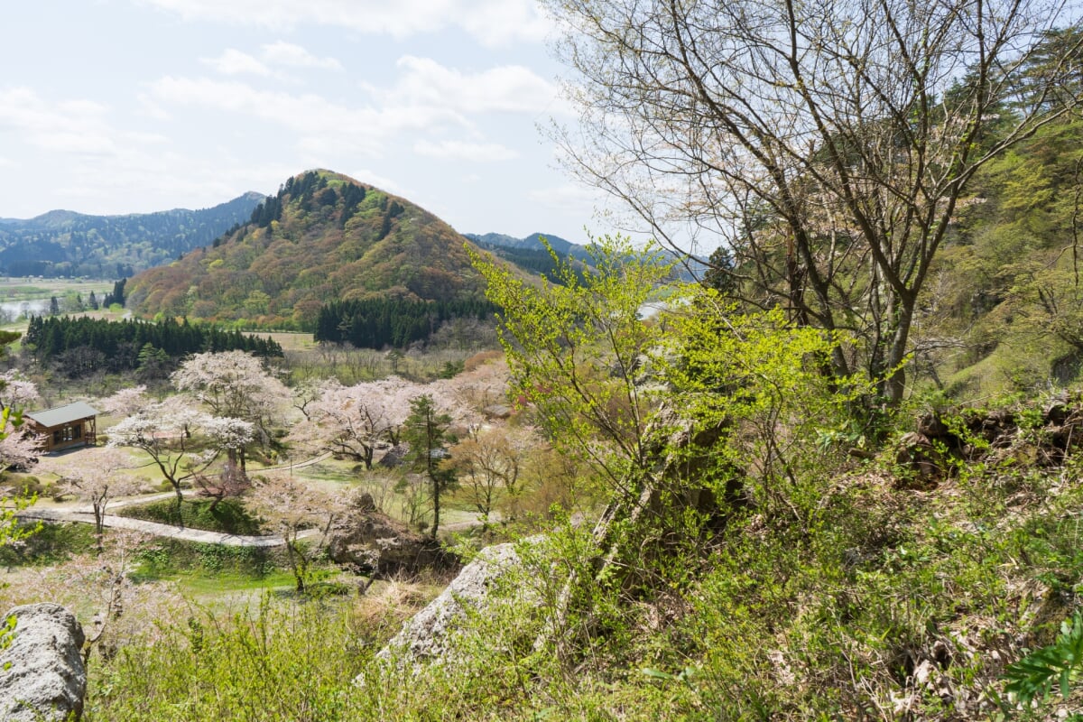 きみまち阪県立自然公園の写真5