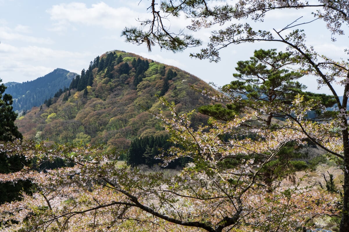 きみまち阪県立自然公園の写真8