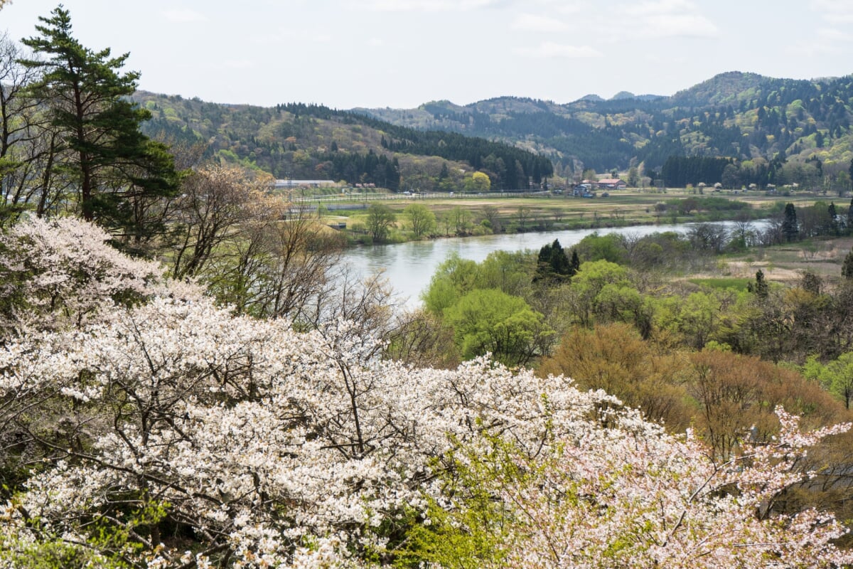 きみまち阪県立自然公園の写真9