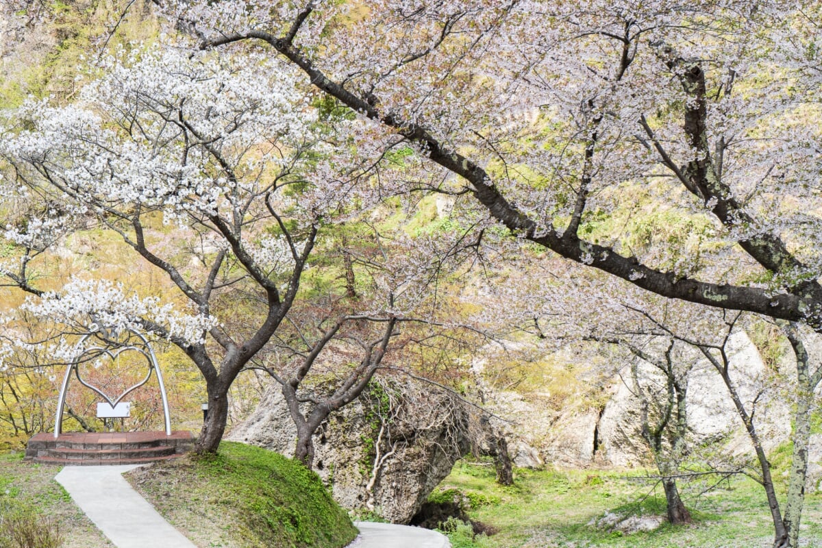 きみまち阪県立自然公園の写真10