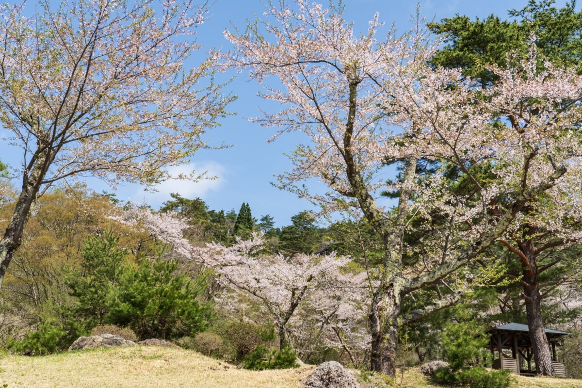 きみまち阪県立自然公園の写真1