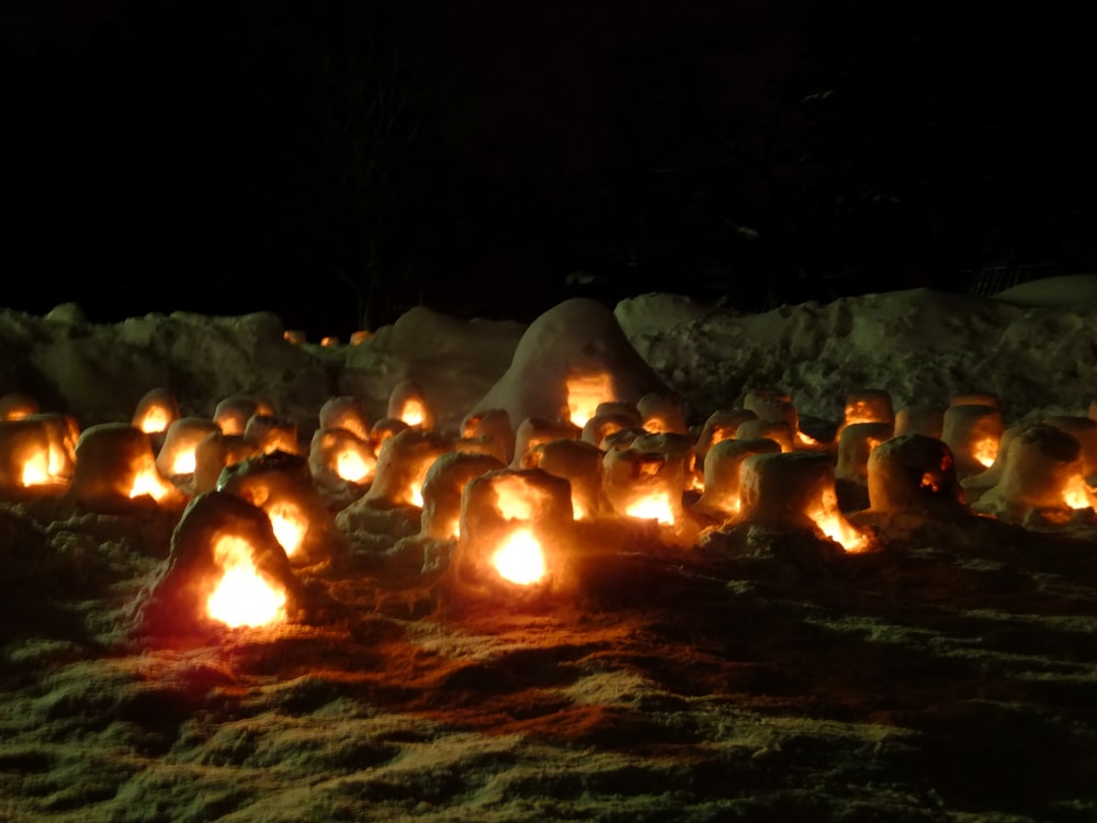 横手公園の写真2