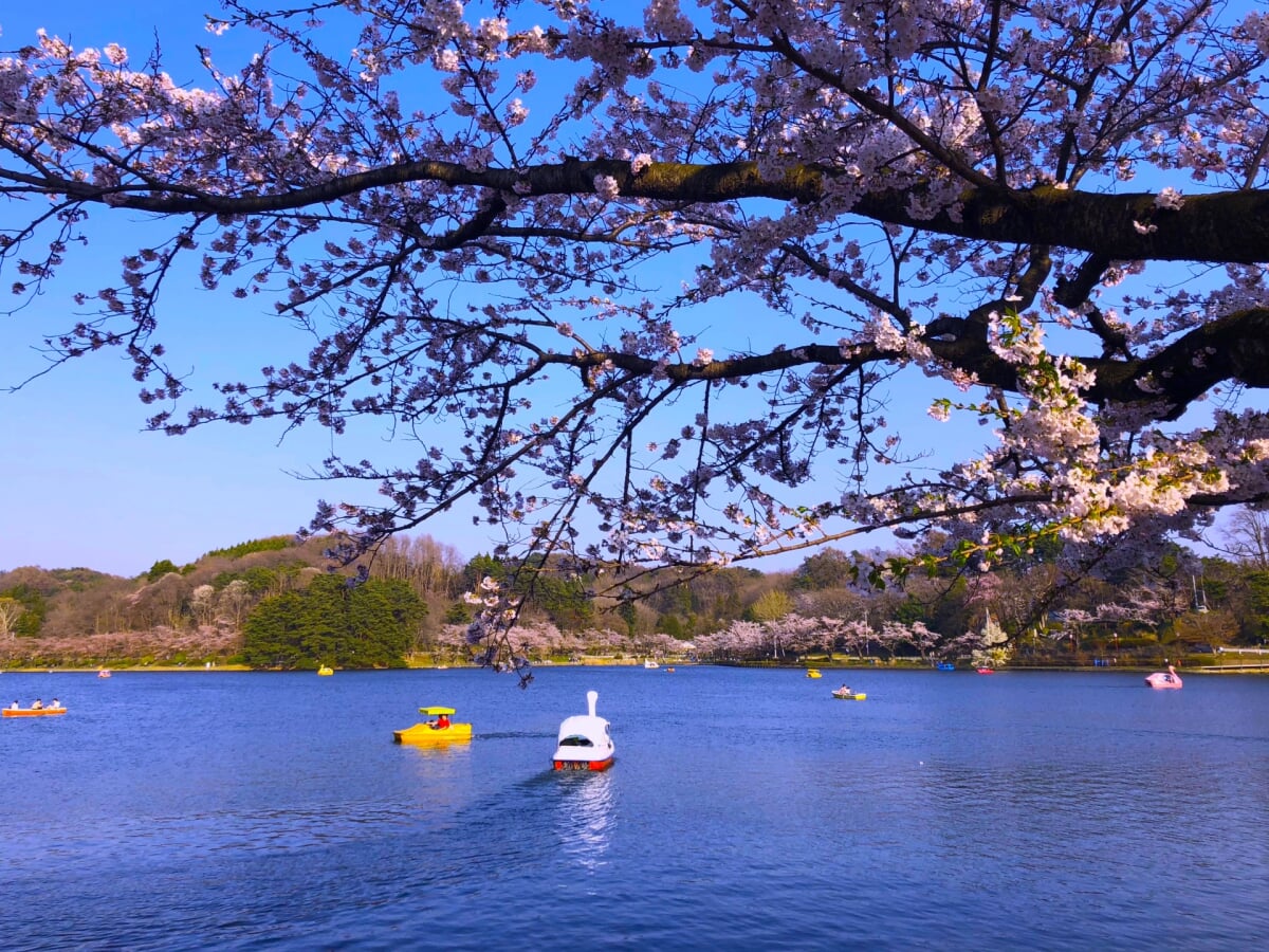 盛岡高松公園(エコアス広場)の写真9