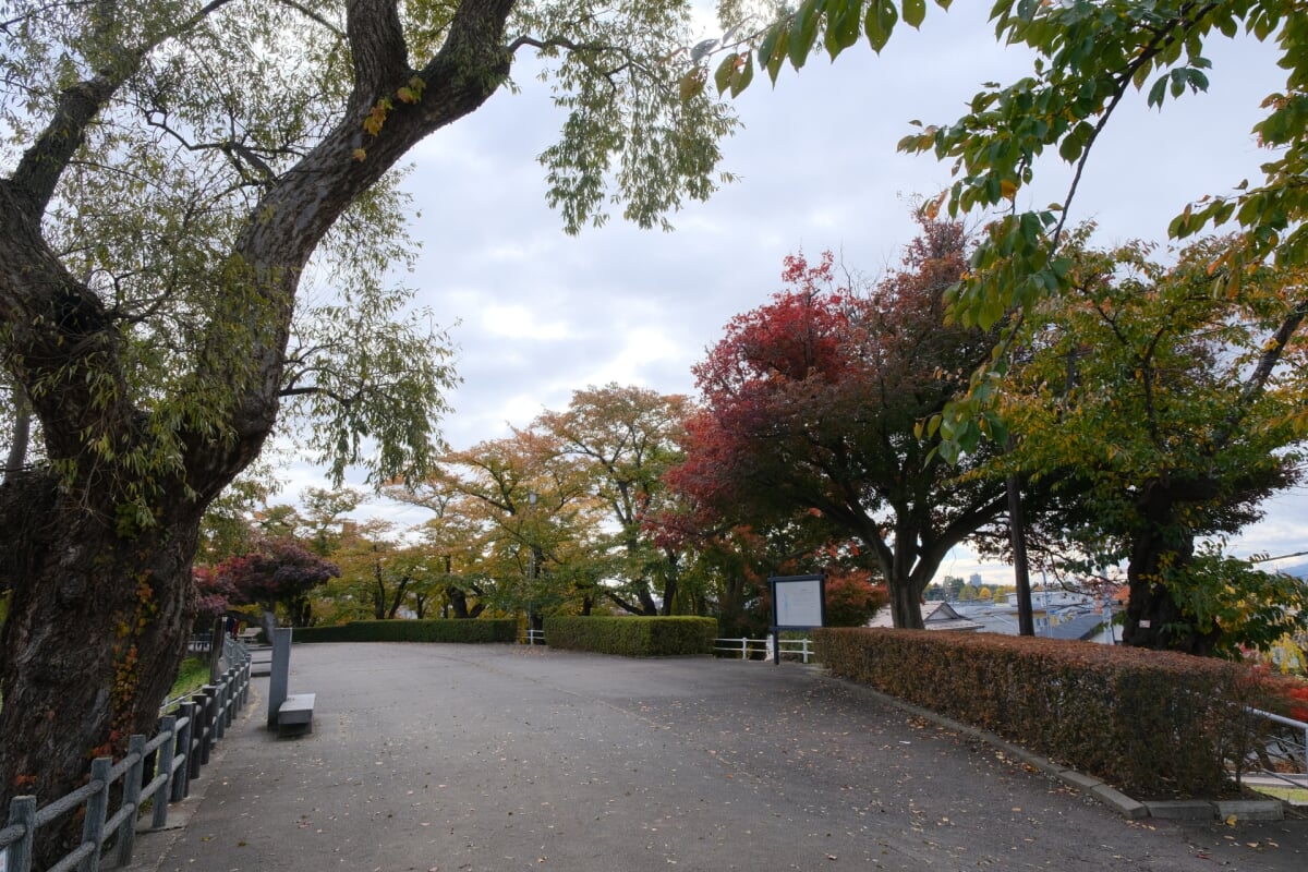 盛岡高松公園(エコアス広場)の写真11