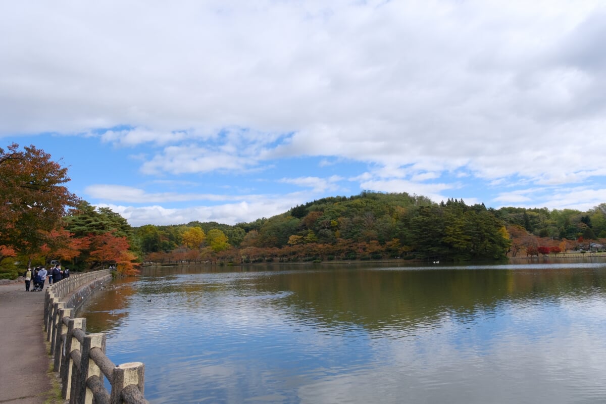 盛岡高松公園(エコアス広場)の写真12
