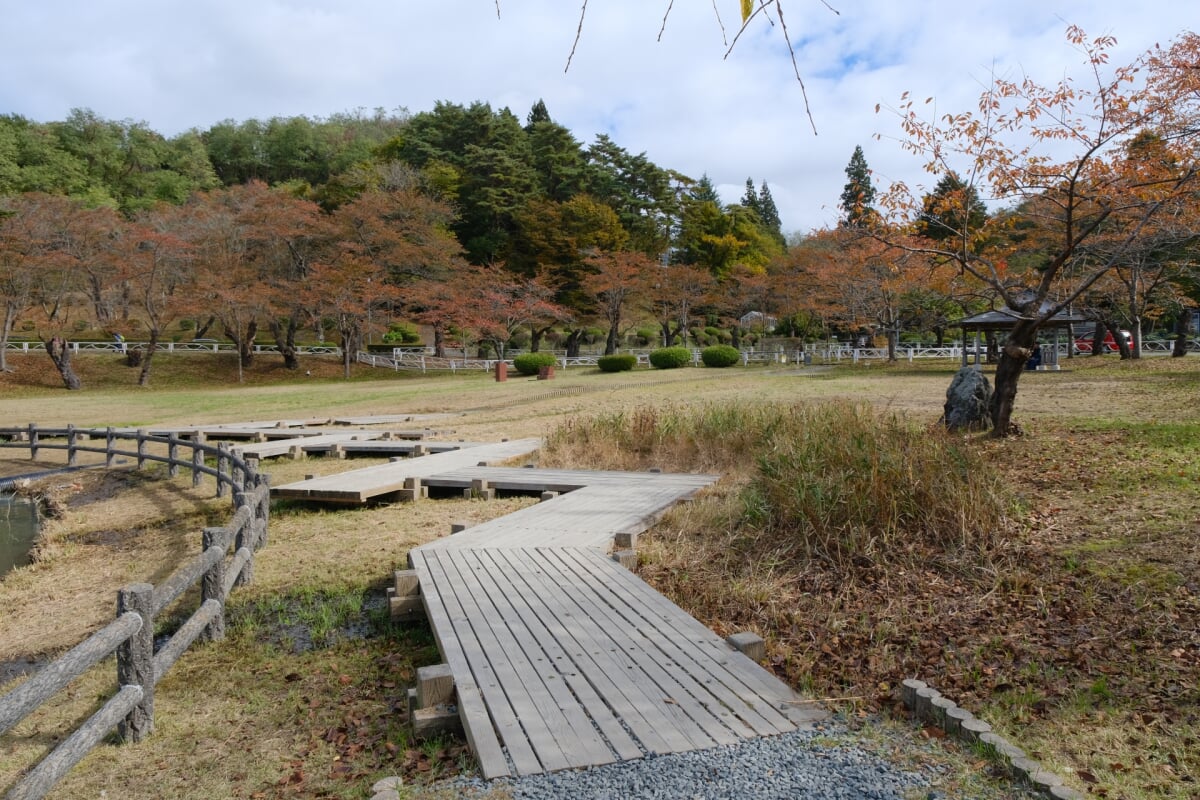 盛岡高松公園(エコアス広場)の写真13