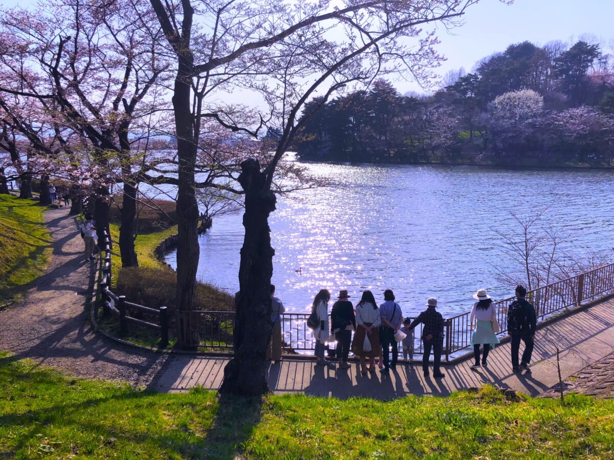 盛岡高松公園(エコアス広場)の写真14
