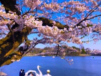 盛岡高松公園(エコアス広場)