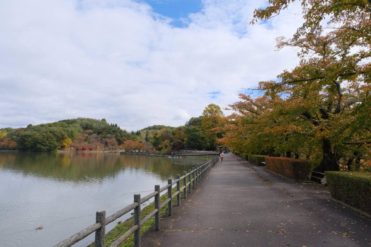 盛岡高松公園(エコアス広場)の写真15