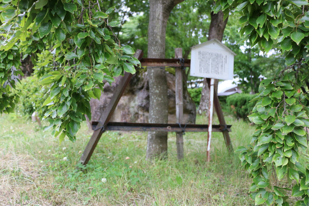 丸子郷土博物館の写真1