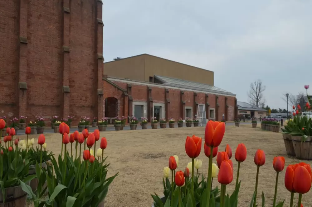 洲本市立洲本図書館の写真1