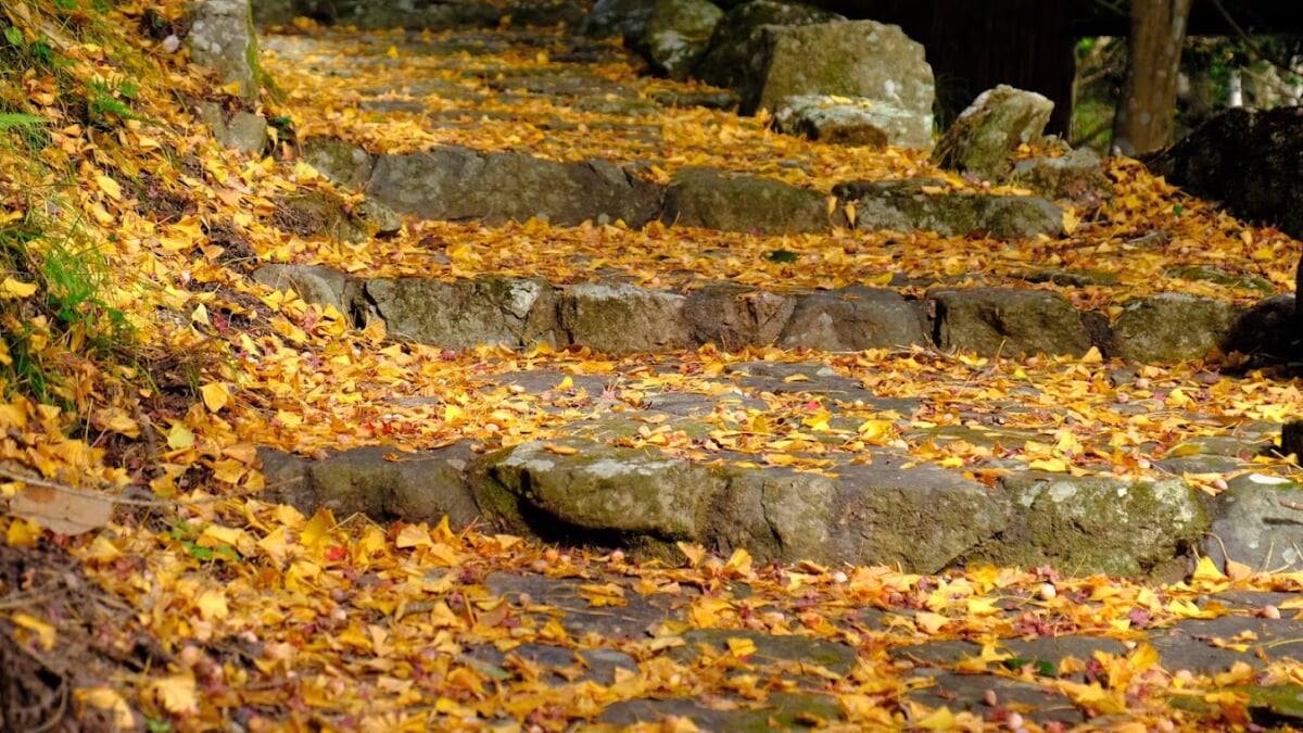 竹谷山渓谷の写真3