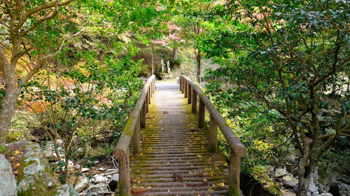 竹谷山渓谷の写真1