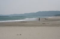 相良サンビーチ