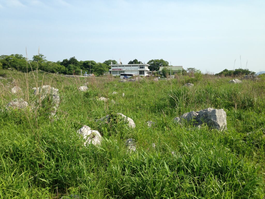 秋吉台科学博物館の写真3