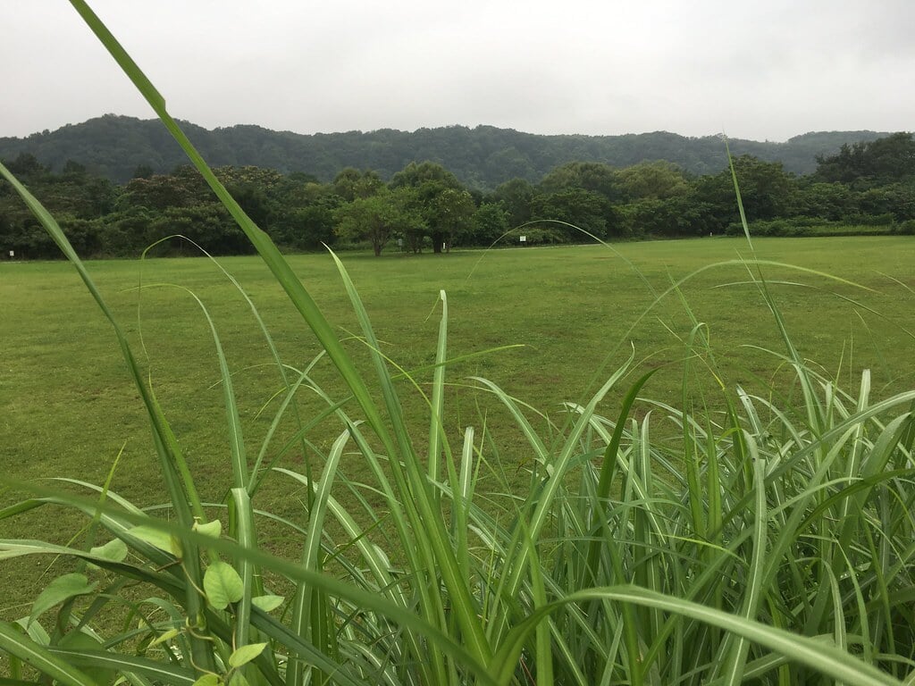 拝島自然公園の写真2