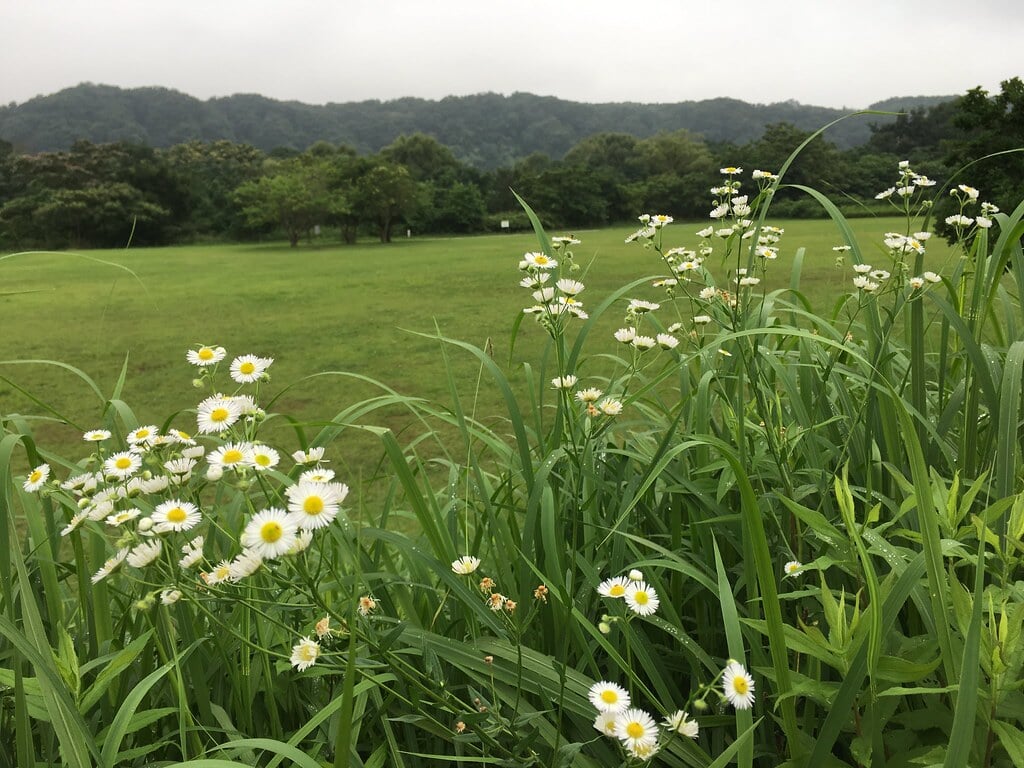 拝島自然公園の写真5