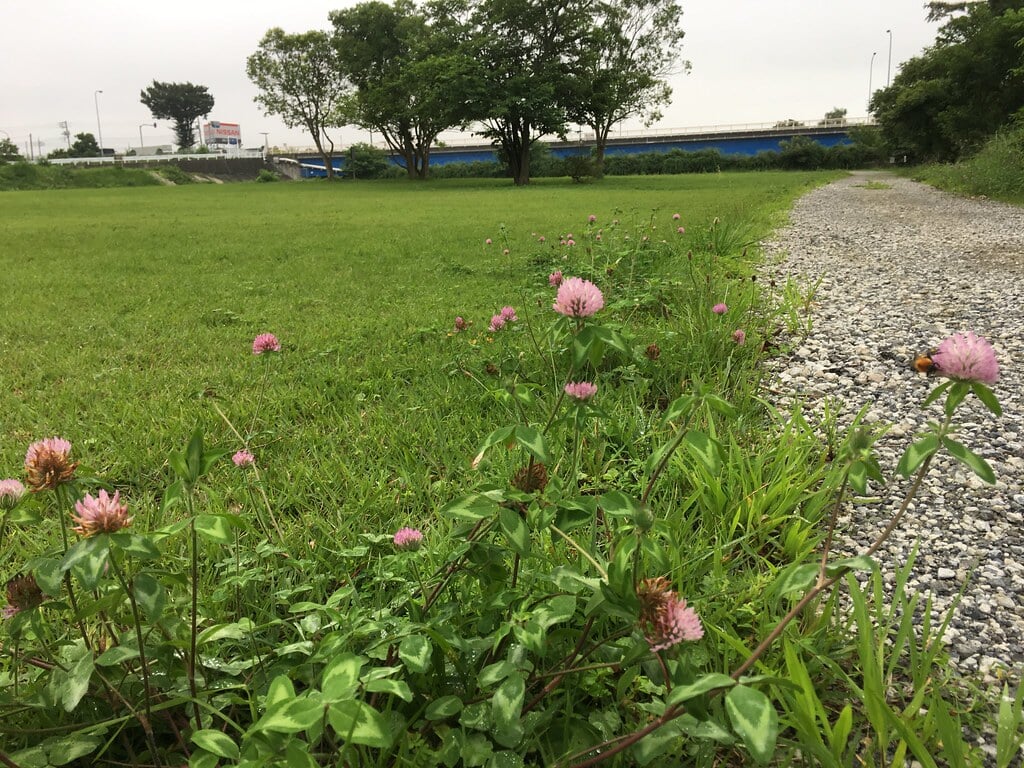 拝島自然公園の写真8