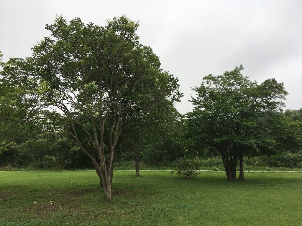 拝島自然公園の写真1