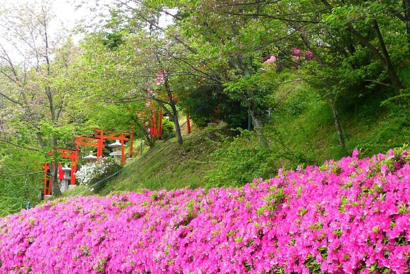 安倍文殊院の写真3