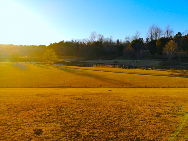 科学万博記念公園の写真2