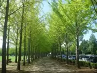 科学万博記念公園