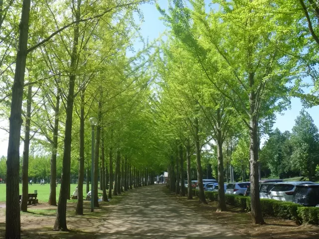 科学万博記念公園の写真1