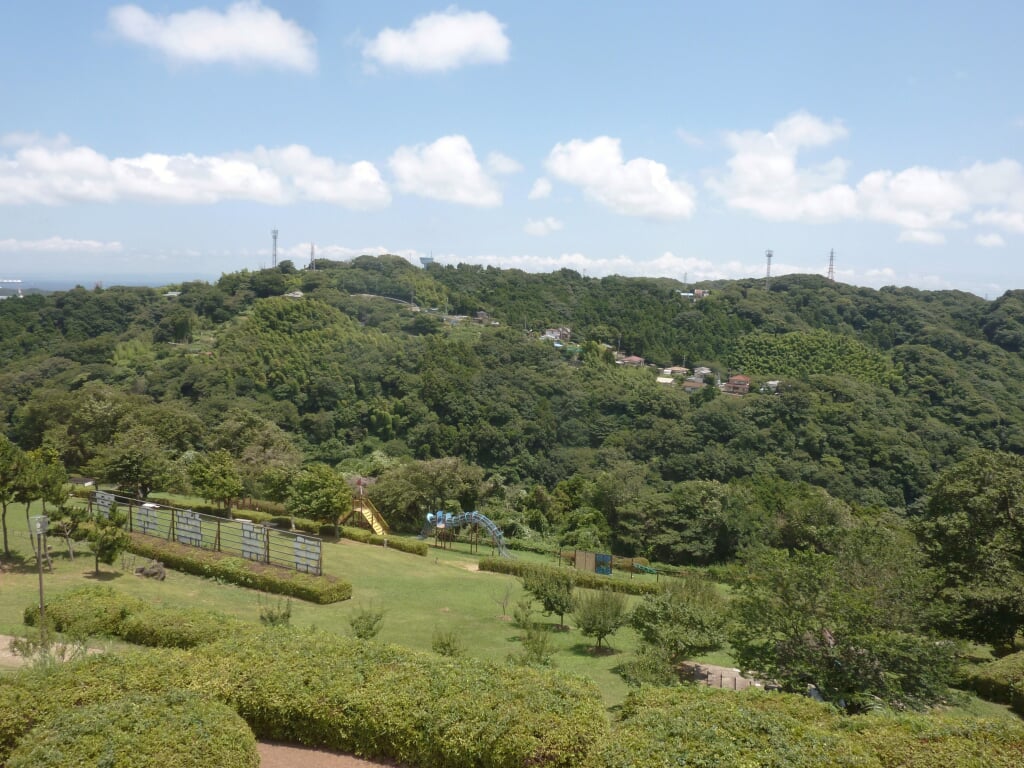 田浦梅の里の写真3