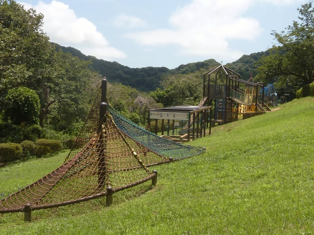 田浦梅の里の写真4