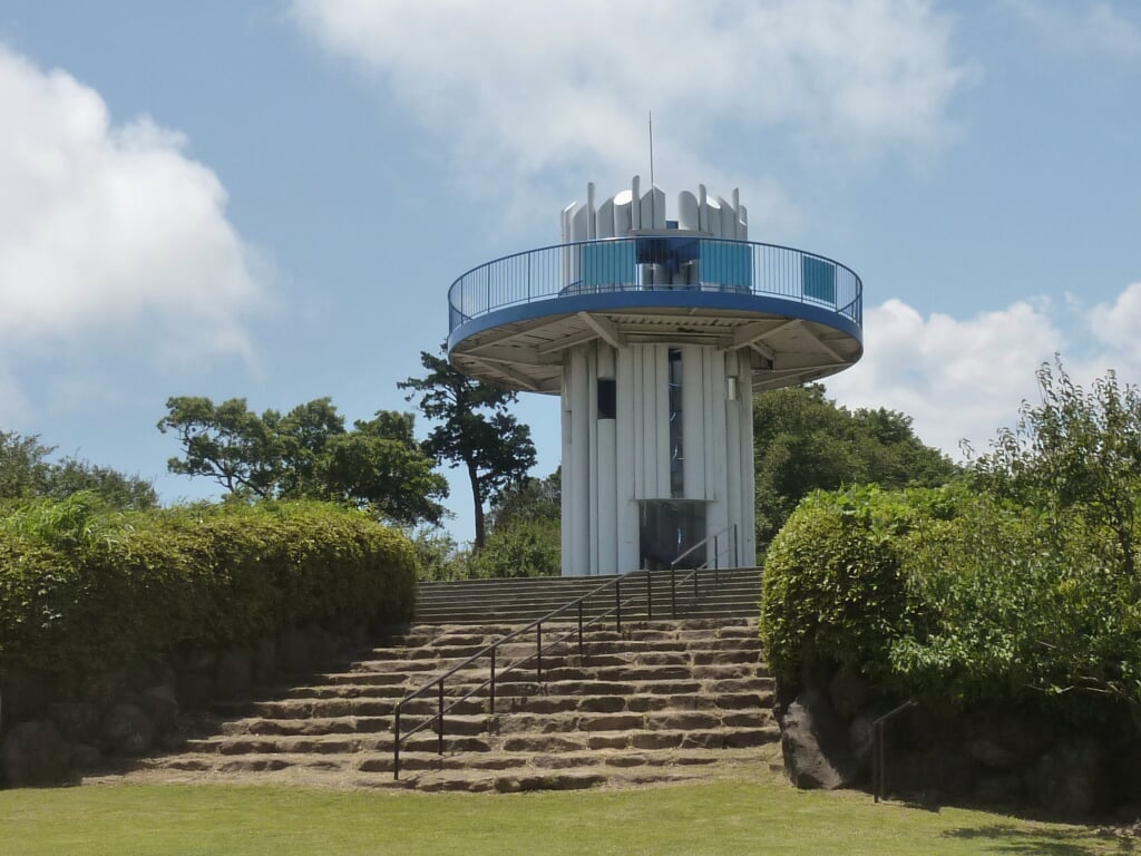 田浦梅の里の写真5