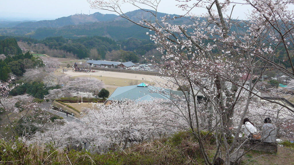 丸岡公園の写真4