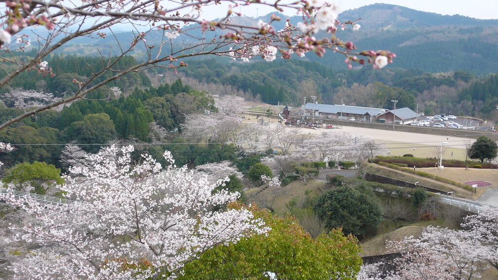 丸岡公園の写真1