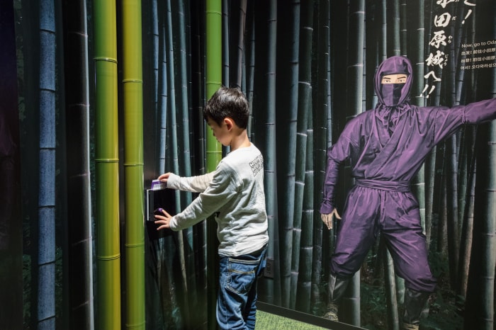 小田原城歴史見聞館 NINJA館の写真11