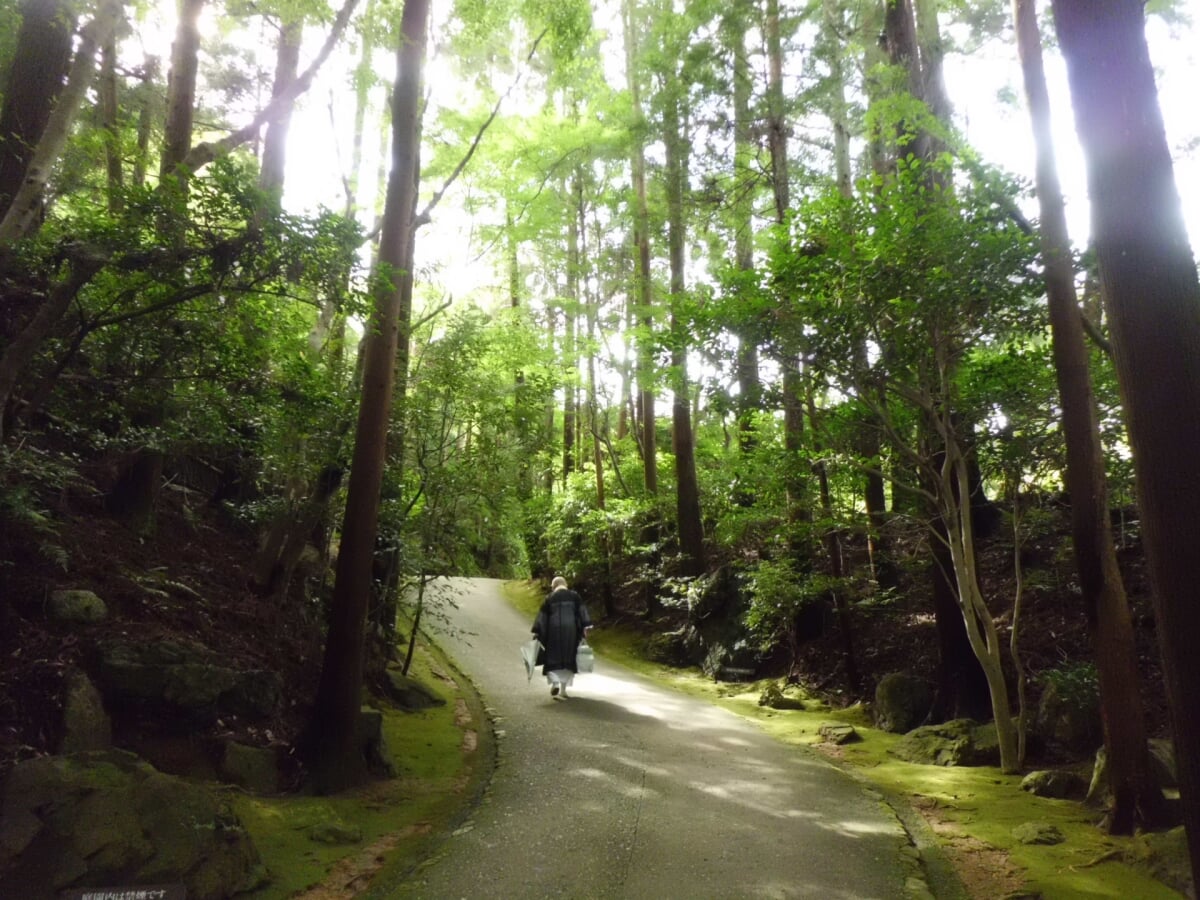 大河内山荘庭園の写真9