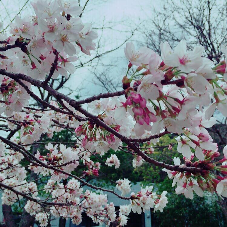 青垣総合運動公園 グリーンベル青垣・温水プールの写真3