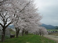 青垣総合運動公園 グリーンベル青垣・温水プール