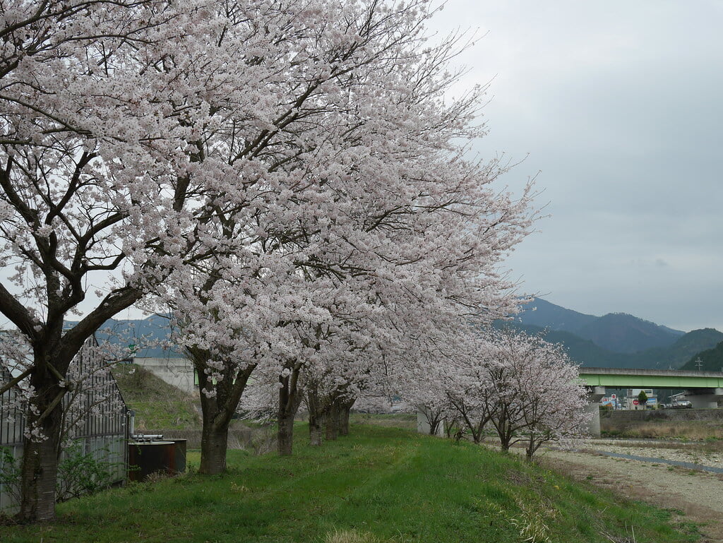 青垣総合運動公園 グリーンベル青垣・温水プールの写真1