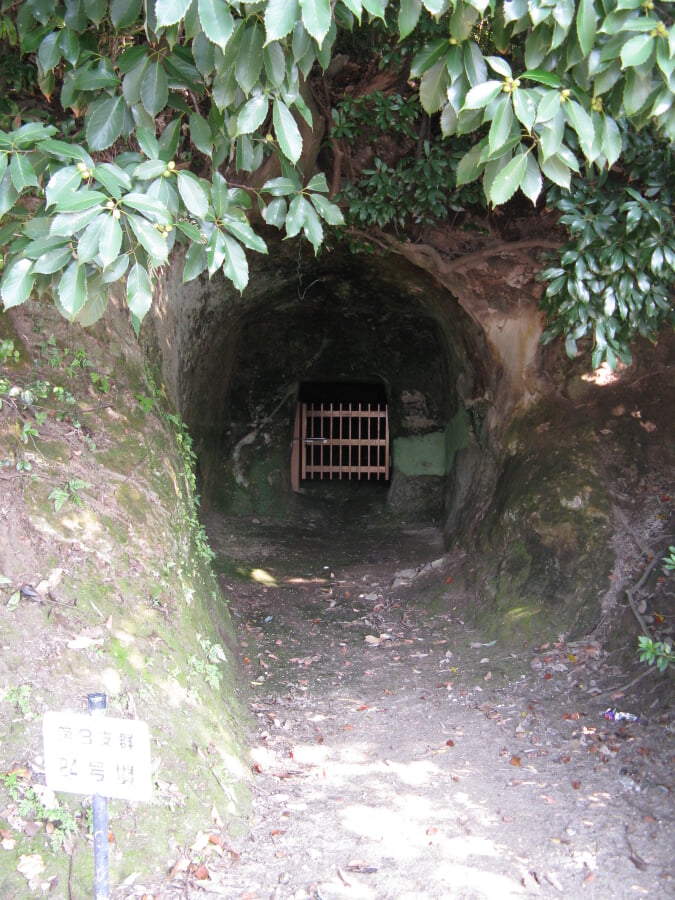 史跡高井田横穴公園の写真2