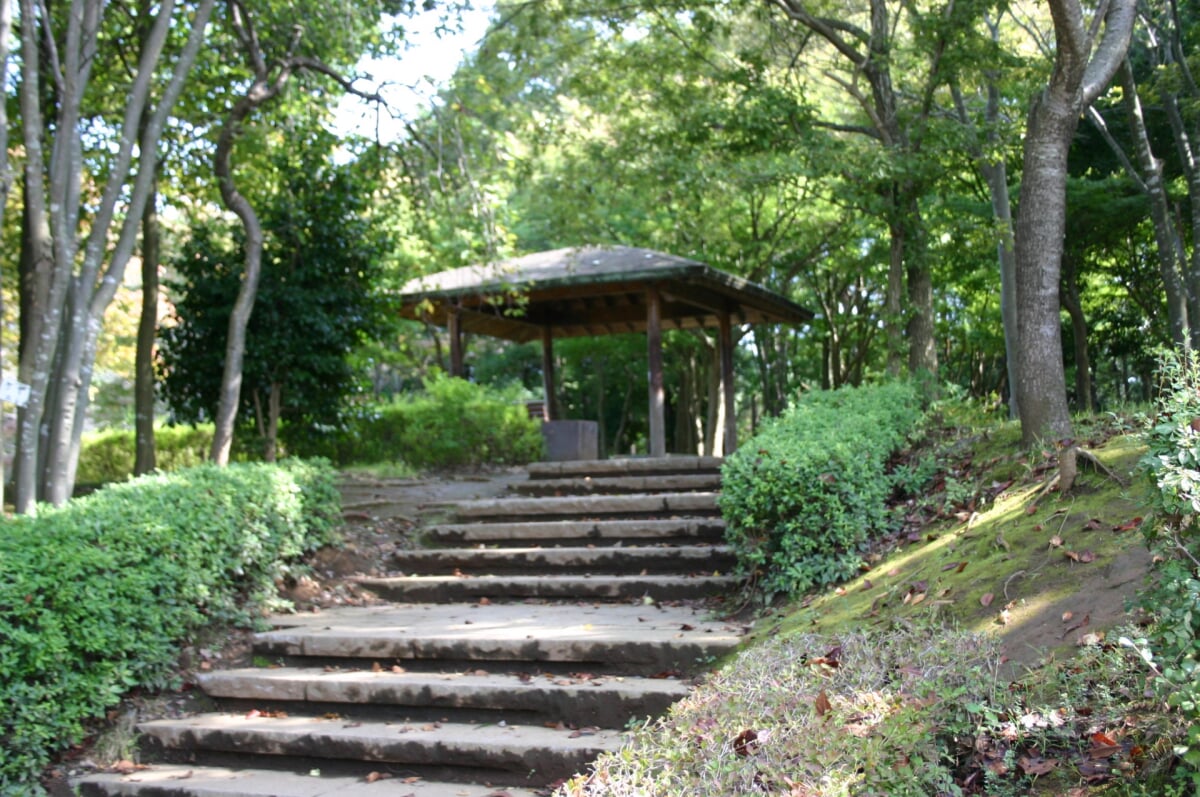 桜南スポーツ公園の写真1