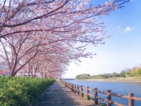 南白亀川遊歩道