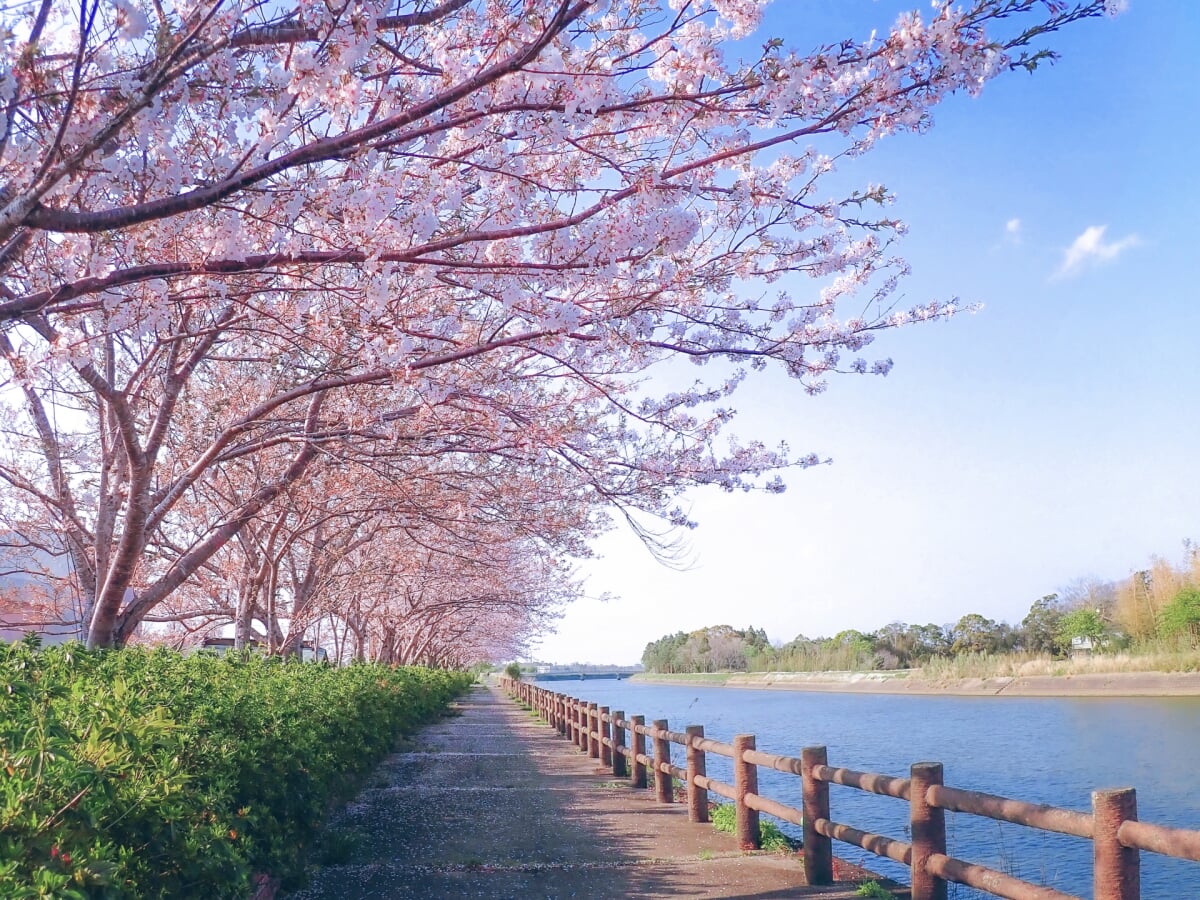 南白亀川遊歩道の写真1